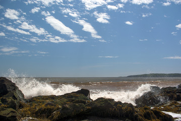 Seaweed Covered Rocks Smashed by Waves
