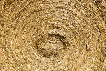 background of straw stack