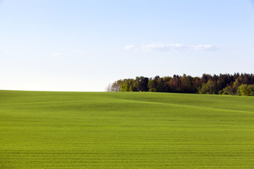 green field