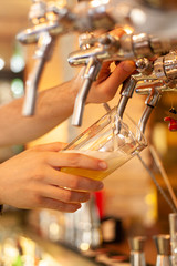 The barman pours a light beer from the tap