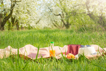 Fototapeta premium Plaid, juice with apples and a bag for a picnic, under a warm sun, in blossoming spring gardens. The concept of a picnic, summer and rest