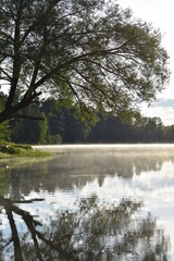 Early Morning Haze on Lake