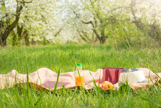 Plaid, juice with apples and a bag for a picnic, under a warm sun, in blossoming spring gardens. The concept of a picnic, summer and rest © Anton