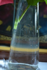 Glass vase with water drops