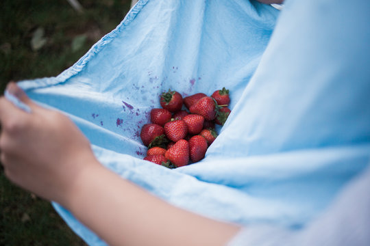 Freshly picked strawberries
