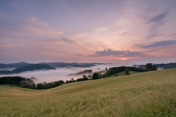 Sonnenaufgang im Schwarzwald 
