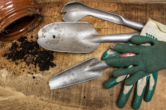 Garden Gloves, trowels and soil