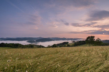 Sonnenaufgang im Schwarzwald 