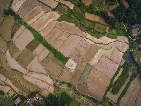 Aerial photography bird-eye view of farm farmland nature landsca