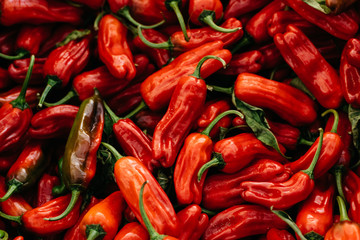 fresh, red shishito peppers