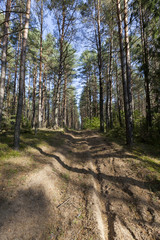 road from sand