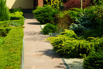 a pedestrian path near the house, surrounded by bushes and other greenery in landscape design