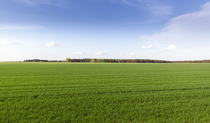 agricultural landscape