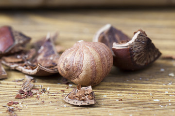 broken hazelnut