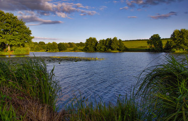 Lake with trees in the sunset