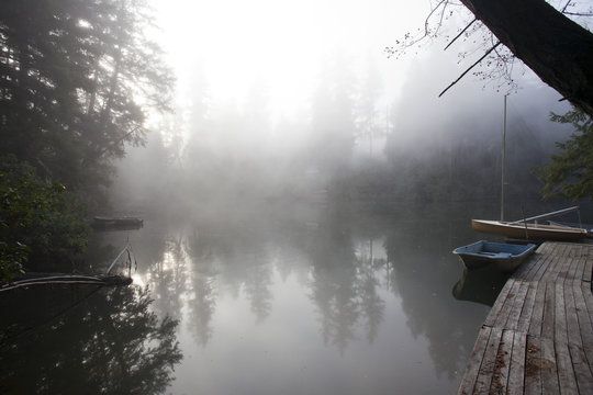 Foggy morning on Fletcher Bay