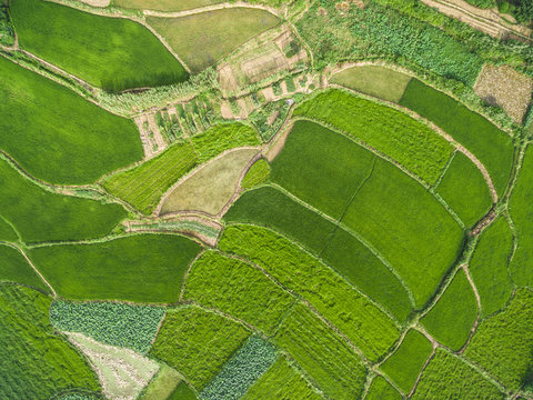 Aerial photography bird-eye view of farm farmland nature landsca