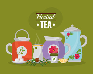 herbal tea teapots and cup lemon seeds and sugar collection vector illustration