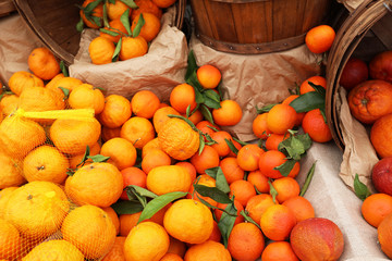 variety of oranges
