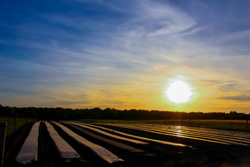 Fototapeta premium Sunset farm