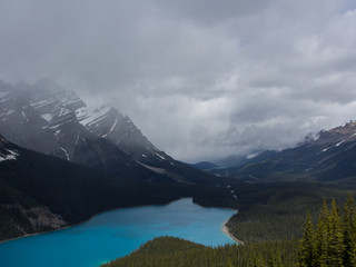 Fototapeta premium View from Bow Summit of Peyto lake, Canadian Rockies, Alberta, Canada