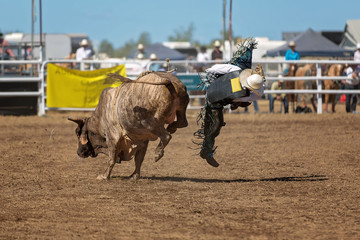 Cowboy Falls Off Bull During Rodeo Competition