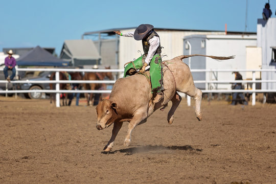 Cowboy Bull riding At A Country Rodeo