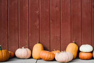 Varitey of pumpkins lined up in front of barn