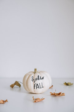 Hello FALL""