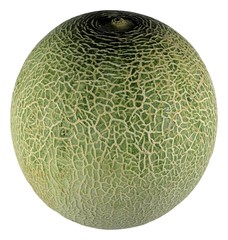 close up net melon white background