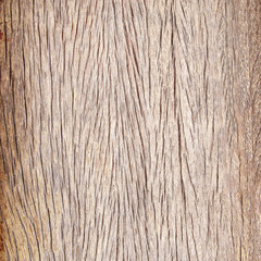 closeup of wood texture