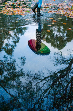 Reflection in a puddle on a rainy day in fall