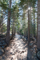 Filtered sunlight on the John Muir hiking trail in Yosemite National Park in California United States