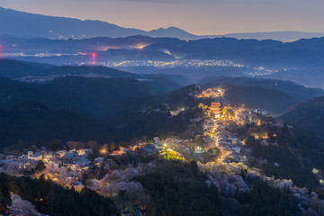 Yoshinoyama sakura cherry blossom with light up. Mount Yoshino  in Nara Prefecture, Japan's most...