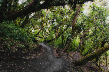 Hiking a volcano in guatemala