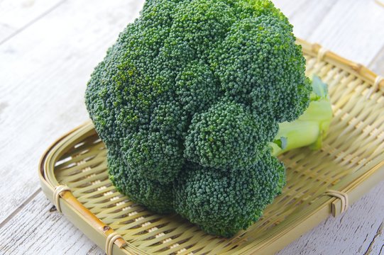 ブロッコリー　Broccoli