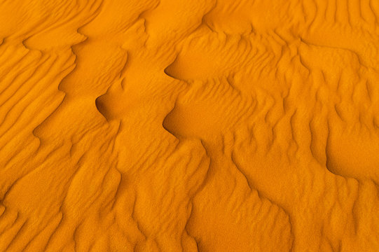 Waves of the desert