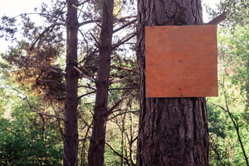 Sign in the woods, blank available