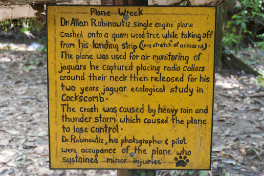 Description Of A Plane Wreck In Cockscomb Basin Wildlife Sanctuary, Belize. This Plane Crashed With Dr. Alan Rabinowitz, Biologist Studying Jaguars.