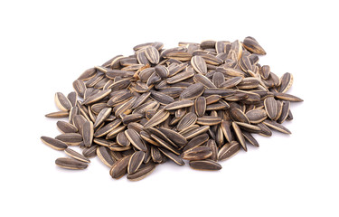 sun flower seed on white background