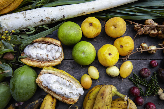 Tropical treasure / Ecuador