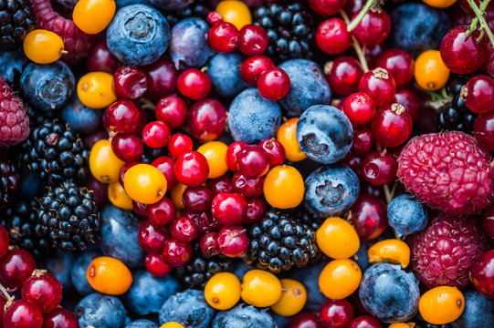 Mixed bowl of Nordic Berries