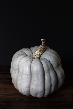Light green pumpkin on dark background