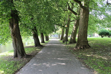 Good morning to the park