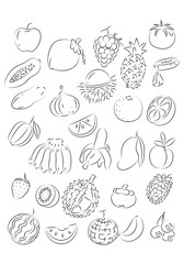 graphic fruit, vector
