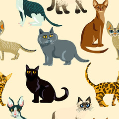 Fototapeta premium Cartoon cats seamless pattern, Illustration breeds of cats