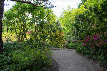 Small walking path in  summer green botanic garden. Berlin, Germany.