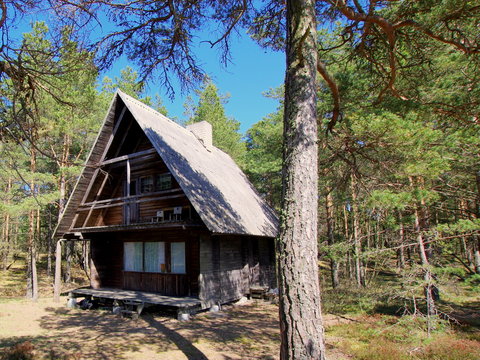 Bungalow w sosnowym lesie przy plaży - wakacje w drewnianym domku