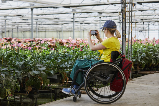 Disabled Gardener Photographing Flowers At Greenhouse