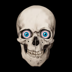 Human realistic skull with blue eyes. Black background. Anatomy vector illustration.